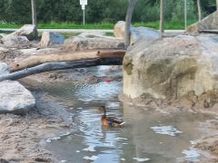 Wasserspielplatz vs. Wasserverschwendung 