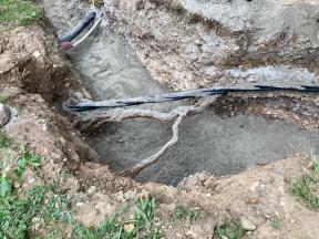 Baumwurzeln und verlaufende Kabel. 